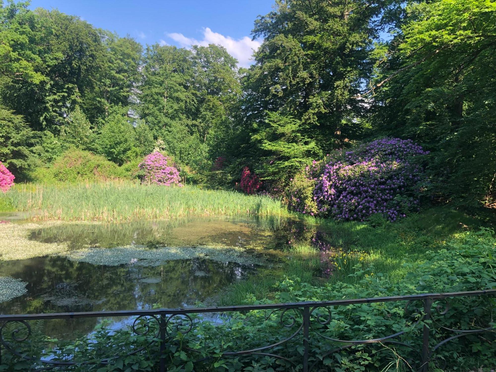 Vingardens Bed & Breakfast 헬싱보리 외부 사진